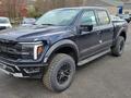 Ford F-Series 2024 годаүшін67 000 000 тг. в Алматы