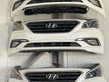 Мини морда, носкат Соната NOSECUT SONATA за 400 000 тг. в Алматы