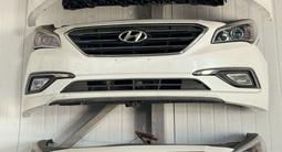Мини морда, носкат Соната NOSECUT SONATA за 400 000 тг. в Алматы