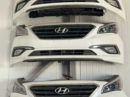 Мини морда, носкат Соната NOSECUT SONATA за 400 000 тг. в Алматы