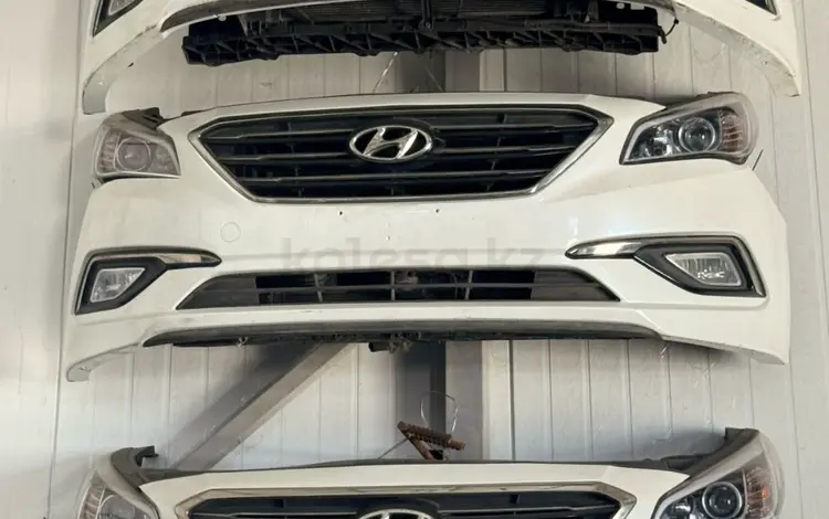 Мини морда, носкат Соната NOSECUT SONATA за 400 000 тг. в Алматы