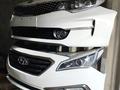 Мини морда, носкат Соната NOSECUT SONATA за 400 000 тг. в Алматы – фото 3
