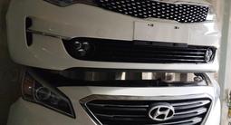 Мини морда, носкат Соната NOSECUT SONATA за 400 000 тг. в Алматы – фото 2