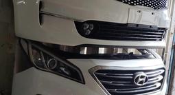 Мини морда, носкат Соната NOSECUT SONATA за 400 000 тг. в Алматы – фото 4