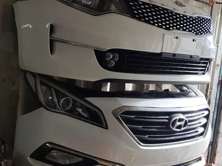 Мини морда, носкат Соната NOSECUT SONATA за 400 000 тг. в Алматы – фото 4