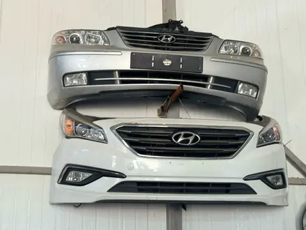 Мини морда, носкат Соната NOSECUT SONATA за 400 000 тг. в Алматы – фото 7