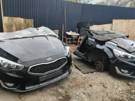Мини морда, носкат Соната NOSECUT SONATA за 400 000 тг. в Алматы – фото 9