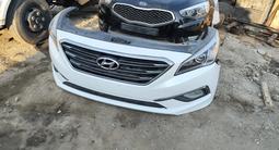 Мини морда, носкат Соната NOSECUT SONATA за 400 000 тг. в Алматы – фото 5