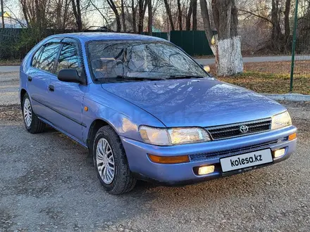 Toyota Corolla 1997 года за 2 900 000 тг. в Алматы