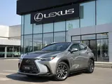 Lexus NX 250 Executive 2025 года за 32 490 000 тг. в Шымкент