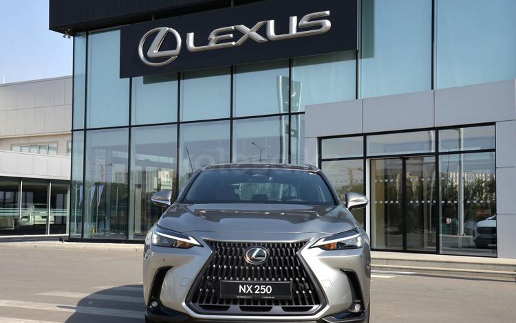Lexus NX 250 Executive — миниатюра 5