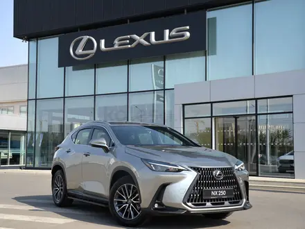 Lexus NX 250 Executive 2025 года за 30 839 900 тг. в Шымкент – фото 19