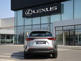 Lexus NX 250 Executive 2025 года за 33 890 000 тг. в Шымкент – фото 4