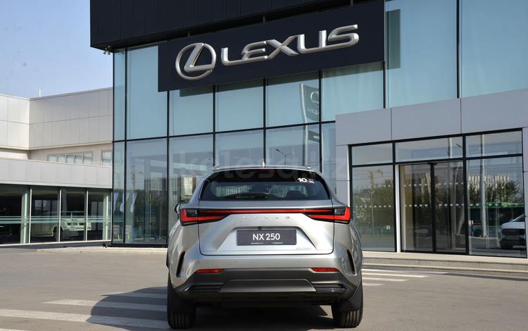 Lexus NX 250 Executive — миниатюра 4