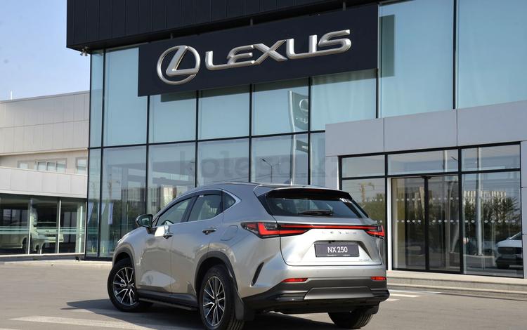 Lexus NX 250 Executive — миниатюра 2