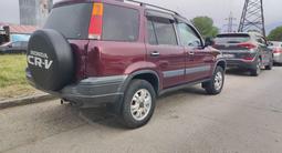 Honda CR-V 1995 года за 2 700 000 тг. в Алматы – фото 3