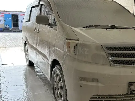 Toyota Alphard 2005 года за 5 500 000 тг. в Уральск – фото 3