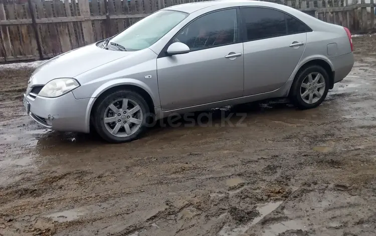 Nissan Primera 2003 года за 2 350 000 тг. в Аягоз