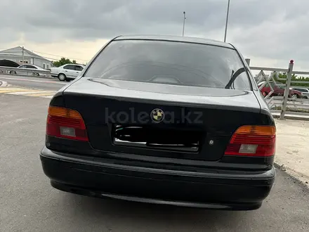 BMW 525 2000 годаүшін3 000 000 тг. в Шымкент – фото 4