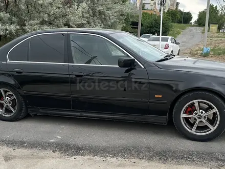 BMW 525 2000 годаүшін3 000 000 тг. в Шымкент – фото 5