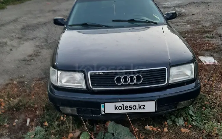 Audi 100 1993 года за 1 200 000 тг. в Щучинск