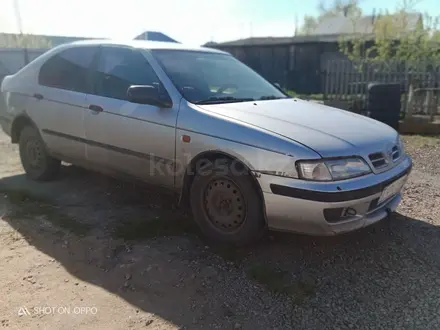 Nissan Primera 1998 годаүшін1 600 000 тг. в Петропавловск – фото 2