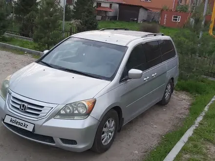 Honda Odyssey 2009 года за 8 200 000 тг. в Алматы – фото 2