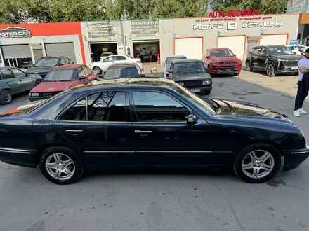 Mercedes-Benz E 240 2000 года за 3 500 000 тг. в Шымкент – фото 2