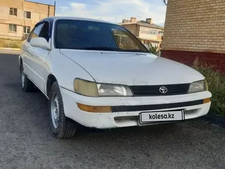 Toyota Corolla 1993 года за 1 550 000 тг. в Усть-Каменогорск