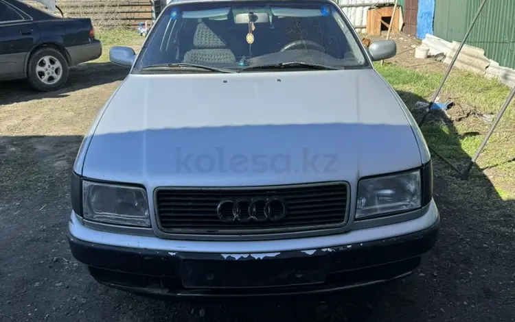 Audi 100 1993 года за 1 500 000 тг. в Жетиген