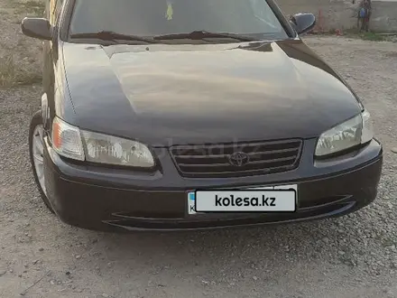 Toyota Camry 2001 года за 3 200 000 тг. в Тараз