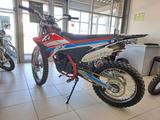 Apollo  RX 250 (172FMM) 2026 года за 470 000 тг. в Астана – фото 2