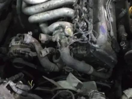 Двигатель АКП Nissan Rnessa, Primera SR20, KA24, QG18, QR20, QR25 за 270 000 тг. в Алматы – фото 14