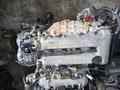 Двигатель Nissan Primera Rnessa SR20, KA24, QG18, QR20, QR25 за 260 000 тг. в Алматы – фото 54