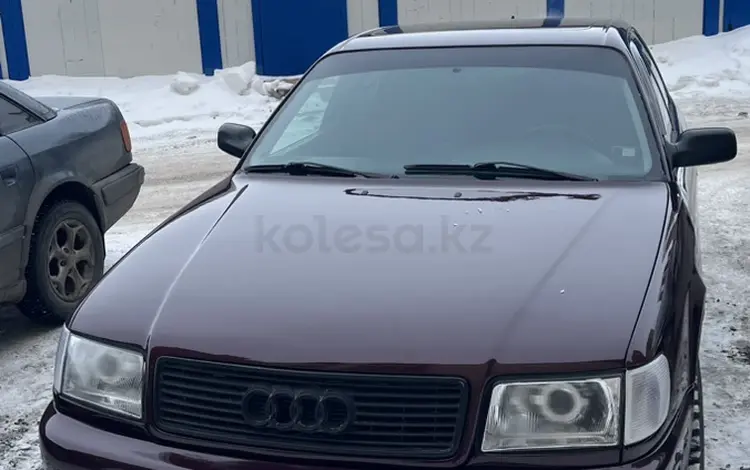 Audi 100 1993 года за 2 300 000 тг. в Петропавловск