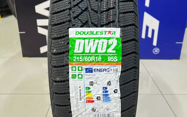 Doublestar 2024 Winter KING DW02 215/60R16 95S за 26 000 тг. в Алматы