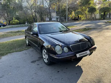 Mercedes-Benz E 240 2001 года за 2 700 000 тг. в Алматы – фото 5