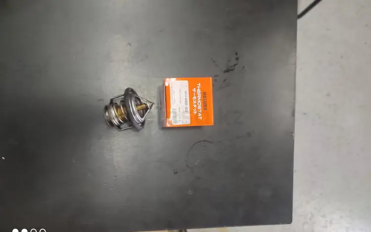 Термостат за 7 000 тг. в Алматы