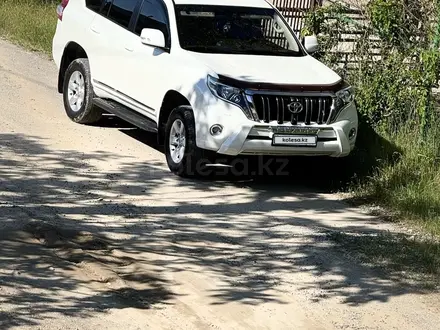 Toyota Land Cruiser Prado 2014 года за 16 500 000 тг. в Шымкент – фото 33
