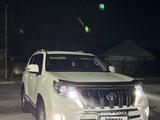 Toyota Land Cruiser Prado 2014 годаүшін16 500 000 тг. в Шымкент – фото 5