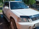 Honda CR-V 1998 годаүшін4 100 000 тг. в Усть-Каменогорск – фото 5