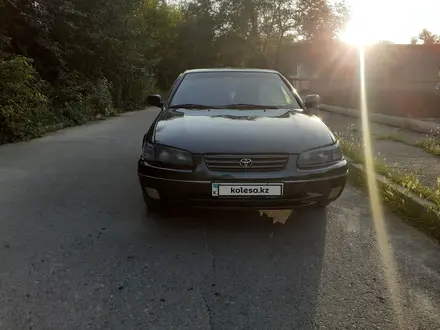 Toyota Camry 1998 года за 2 800 000 тг. в Шамалган – фото 2