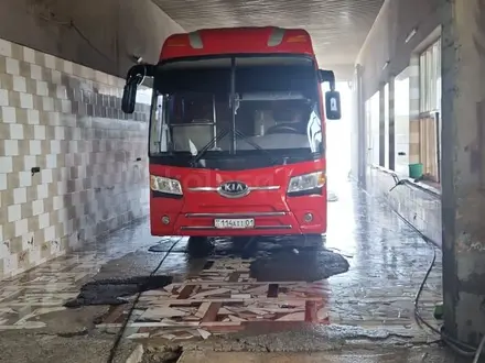 Автобус 45 местный с кондиционером ремни безопасности перевозка в Шымкент – фото 11