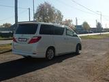 Toyota Alphard 2010 года за 12 600 000 тг. в Кокшетау – фото 2