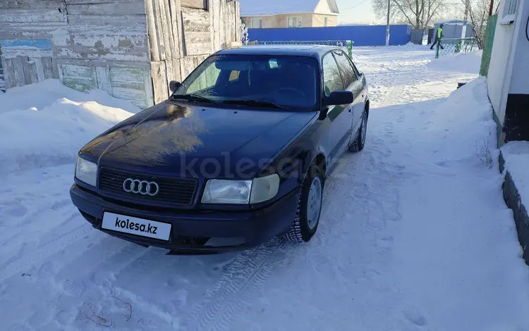 Audi 100 1993 годаүшін1 500 000 тг. в Кокшетау