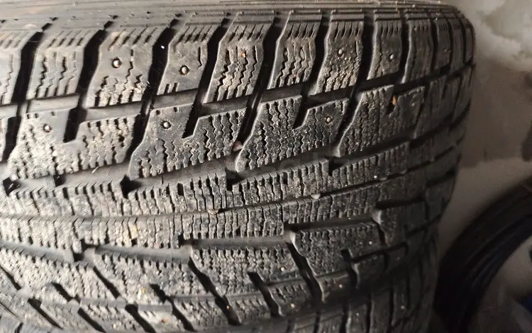 Fediral Himalaya за 100 000 тг. в Алматы