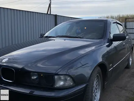 BMW 528 1998 года за 3 500 000 тг. в Астана – фото 5