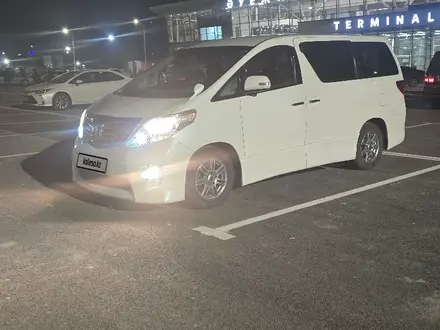 Toyota Alphard 2011 года за 12 000 000 тг. в Шымкент – фото 8