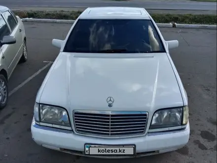 Mercedes-Benz S 300 1993 года за 2 500 000 тг. в Петропавловск