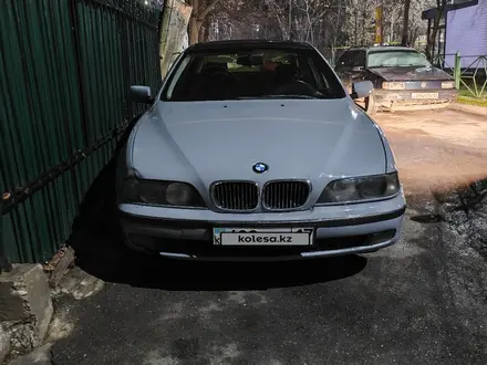 BMW 528 1997 года за 3 070 566 тг. в Шымкент – фото 6